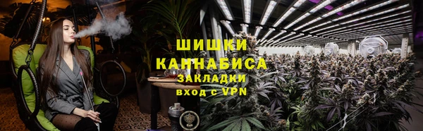 мдпв Богородицк