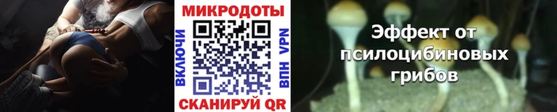 Псилоцибиновые грибы Cubensis  Болотное 